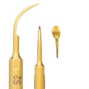 S2